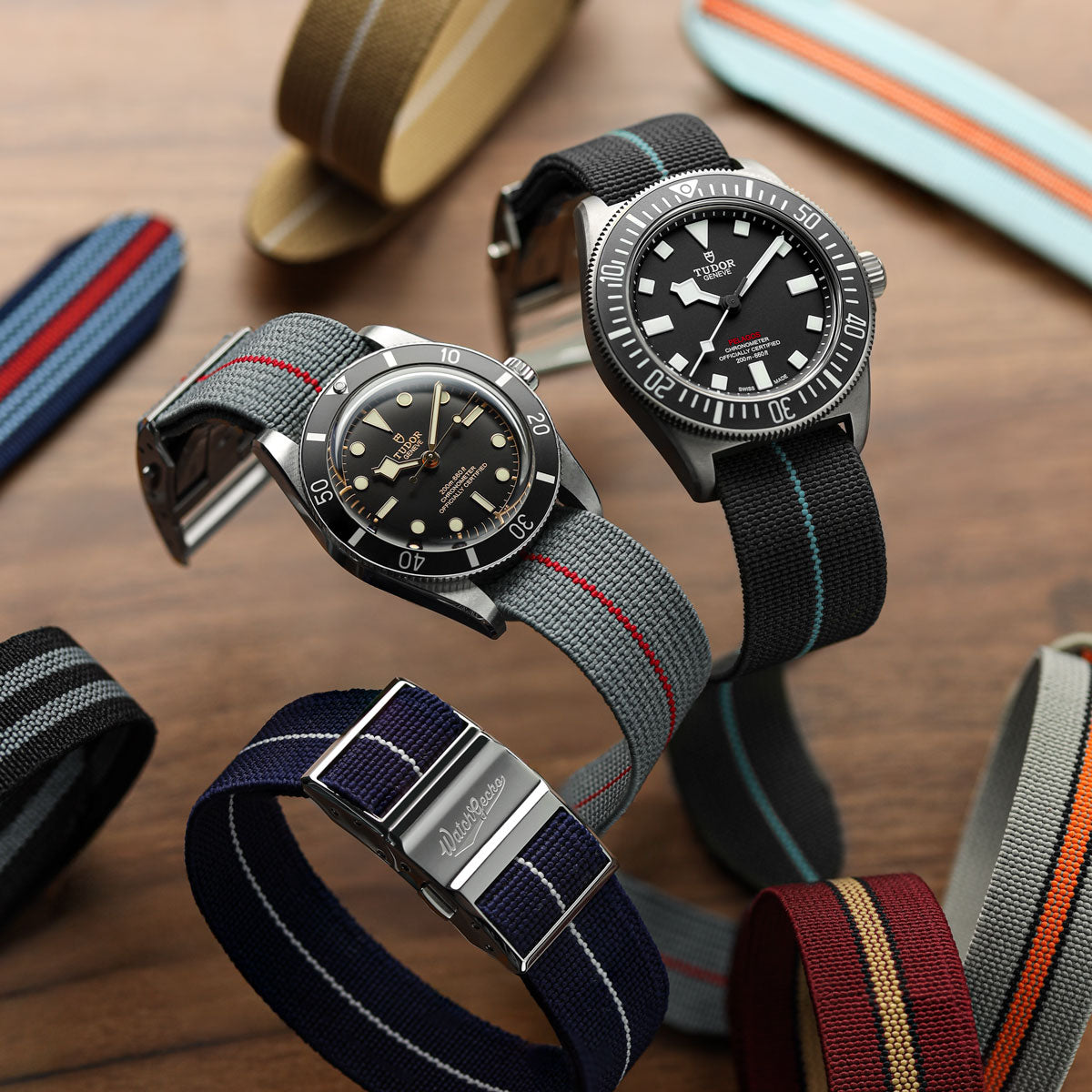 OCTOPOD Elasticated Watch Strap - Olympus