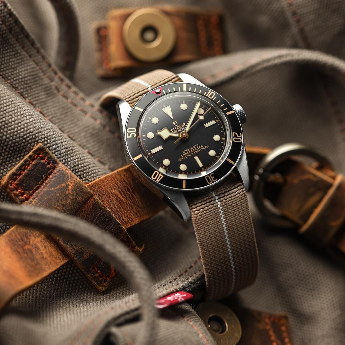 OCTOPOD Elasticated Watch Strap - Dune