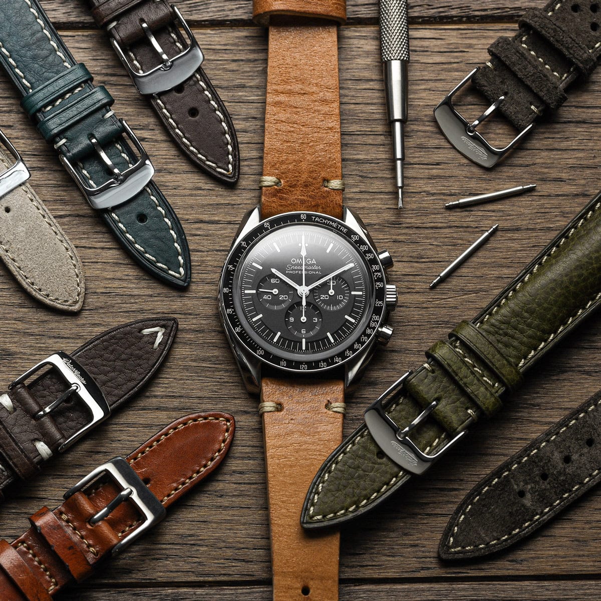 WatchGecko Gift Card