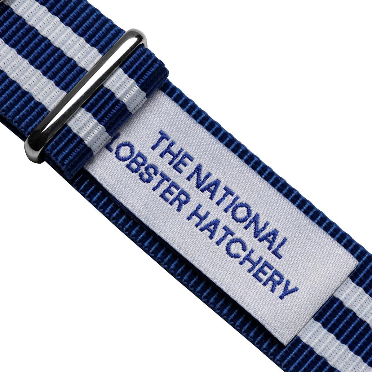 The National Lobster Hatchery Charity Nylon Watch Strap
