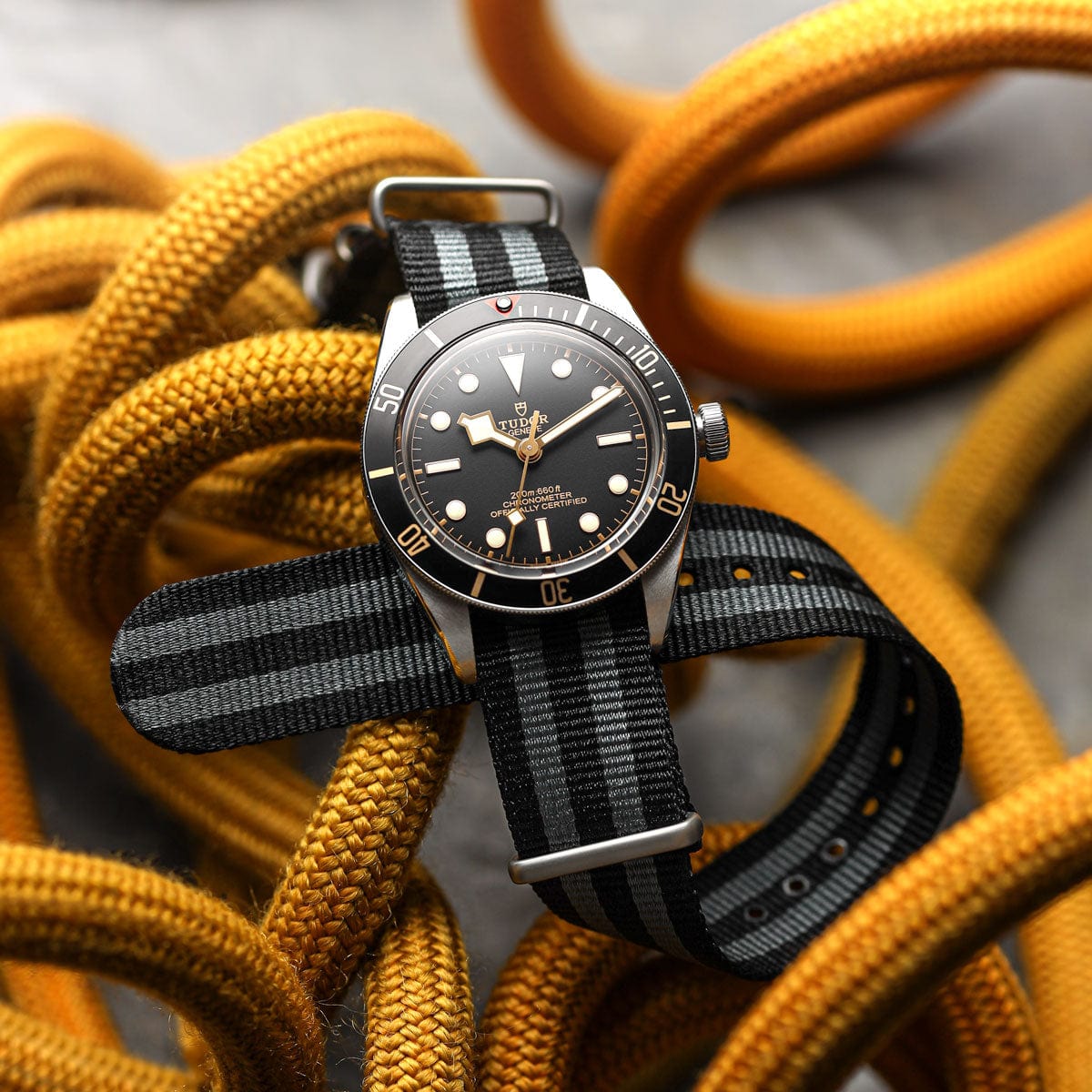 “Classic Bond” British Military Watch Strap Satin Hardware on Tudor Black Bay
