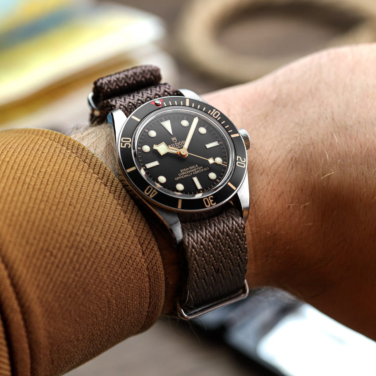 ZULUDIVER Shark Military Nylon Watch Strap - Hammerhead