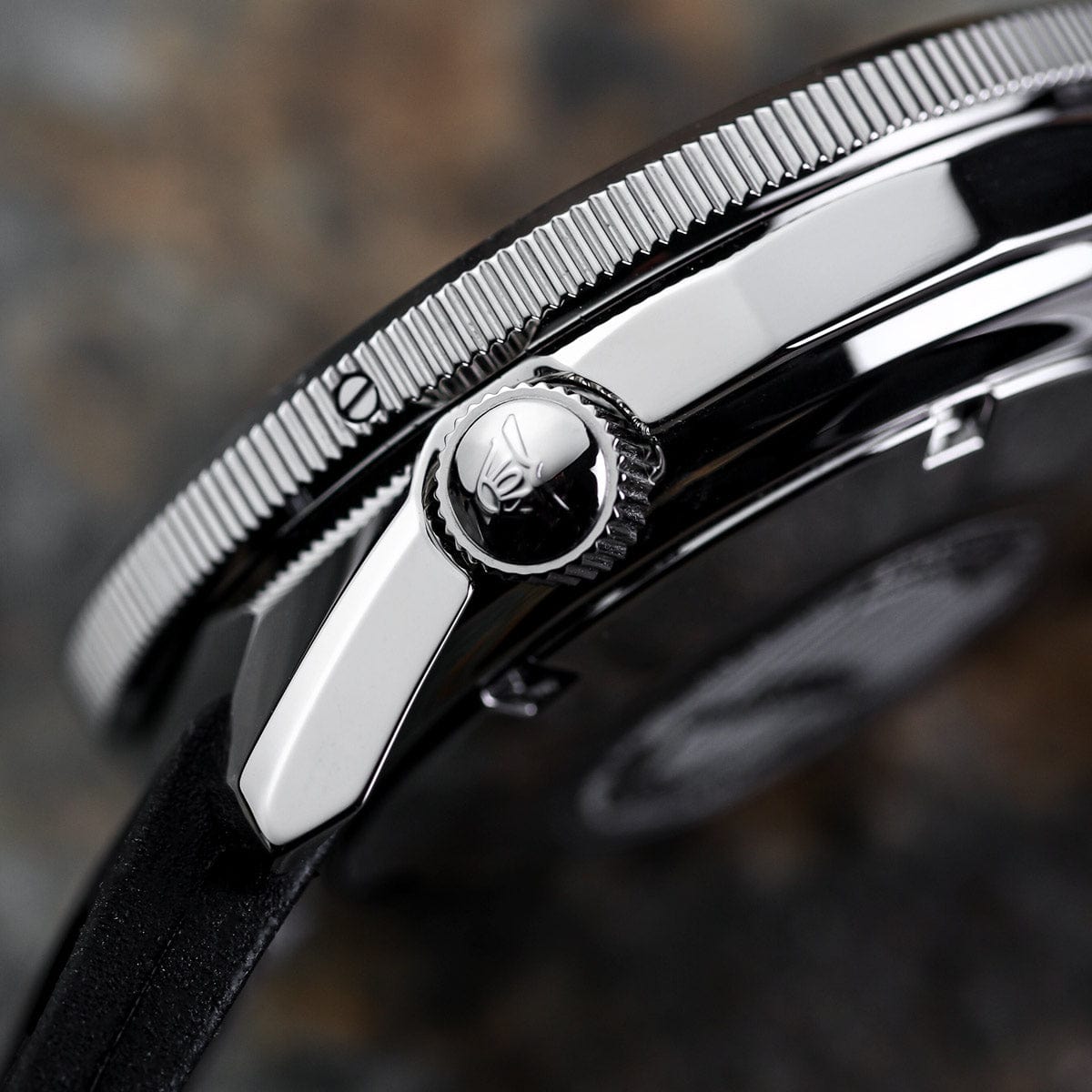 Squale 1521 Swiss Made Diver's Watch - Black Dial Polished Case