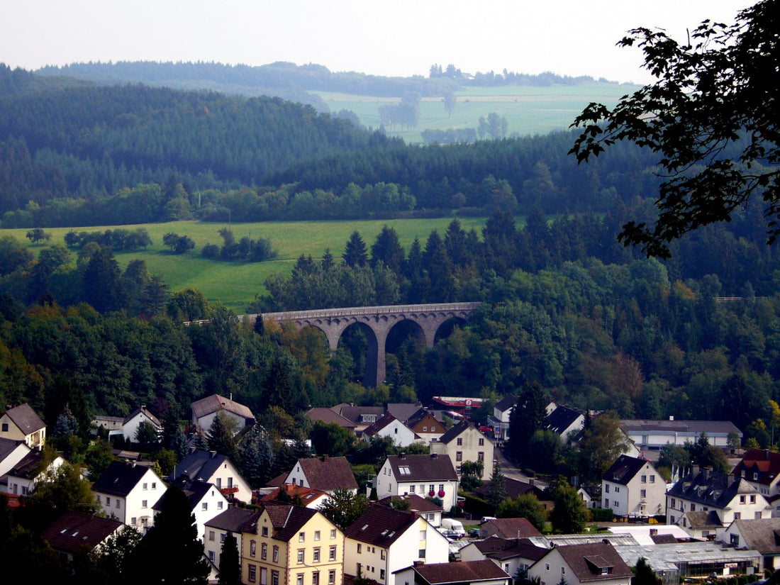Exploring the watch scene in Germany