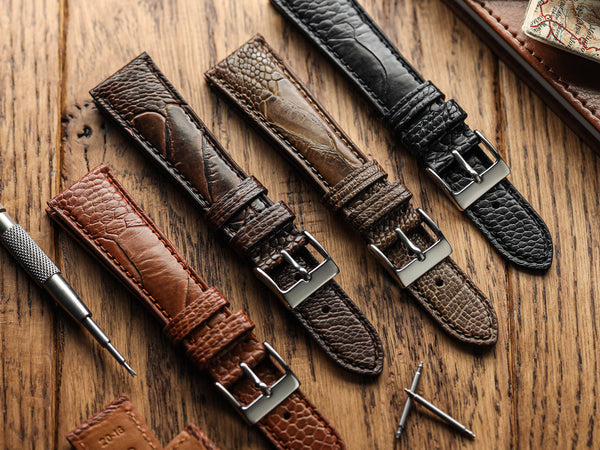 New Items | Page 4 | WatchGecko