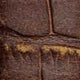 Vintage Carolina Gator Print Genuine Leather Watch Strap - Light Brown