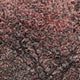 Dexter Cracked Finish Leather Watch Strap - Gloss Bordeaux