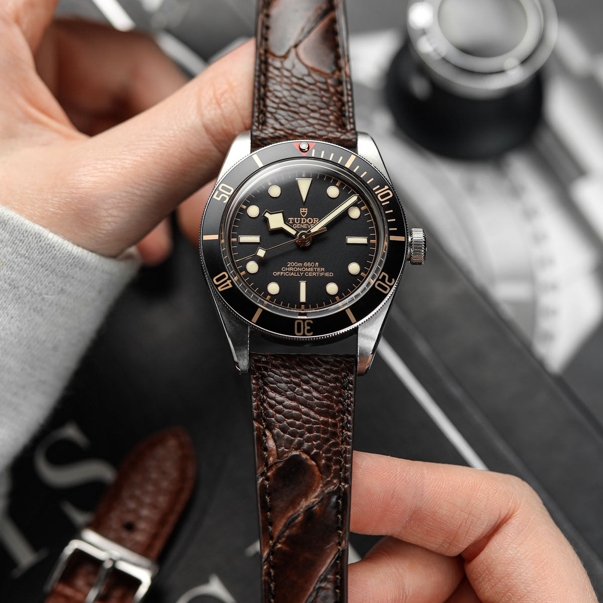 Ostrich Leg Leather Watch Strap - Brown on Tudor BB58