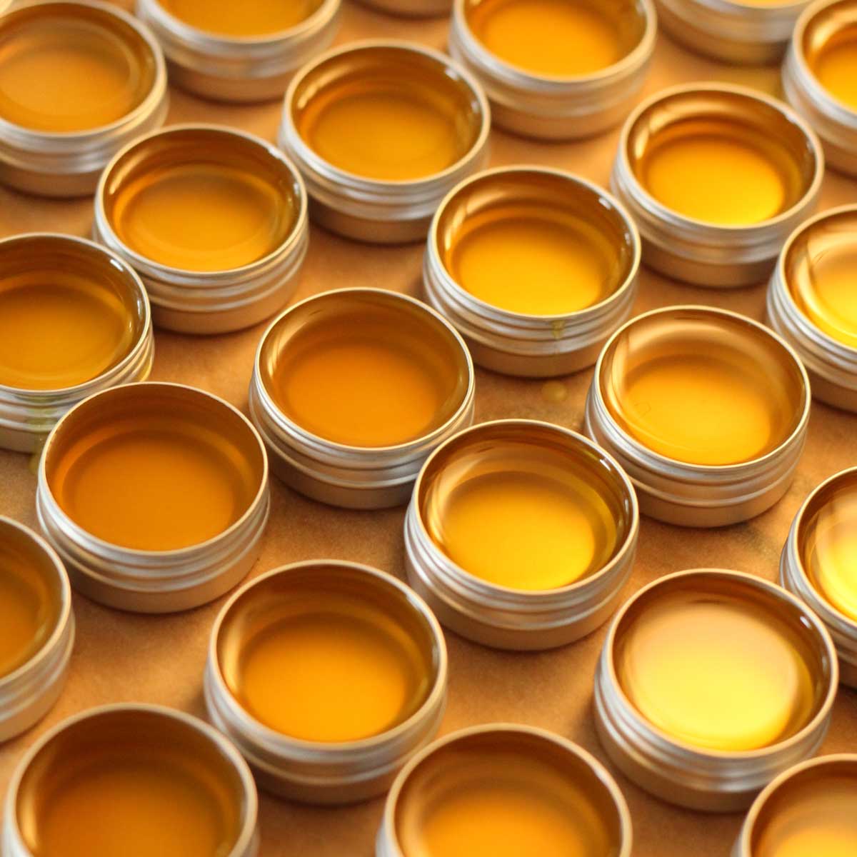 WatchGecko Leather Balm