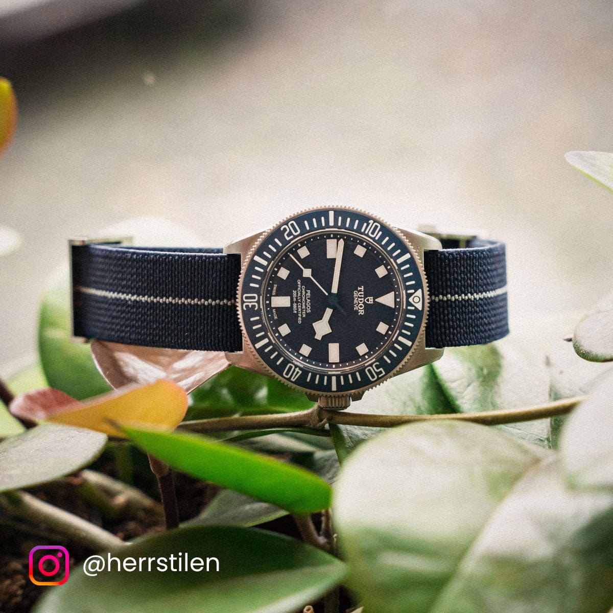 OctoPod Elasticated Watch Strap - Tore
