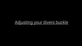 ZULUDIVER HydroLock Deployant Buckle - Brushed