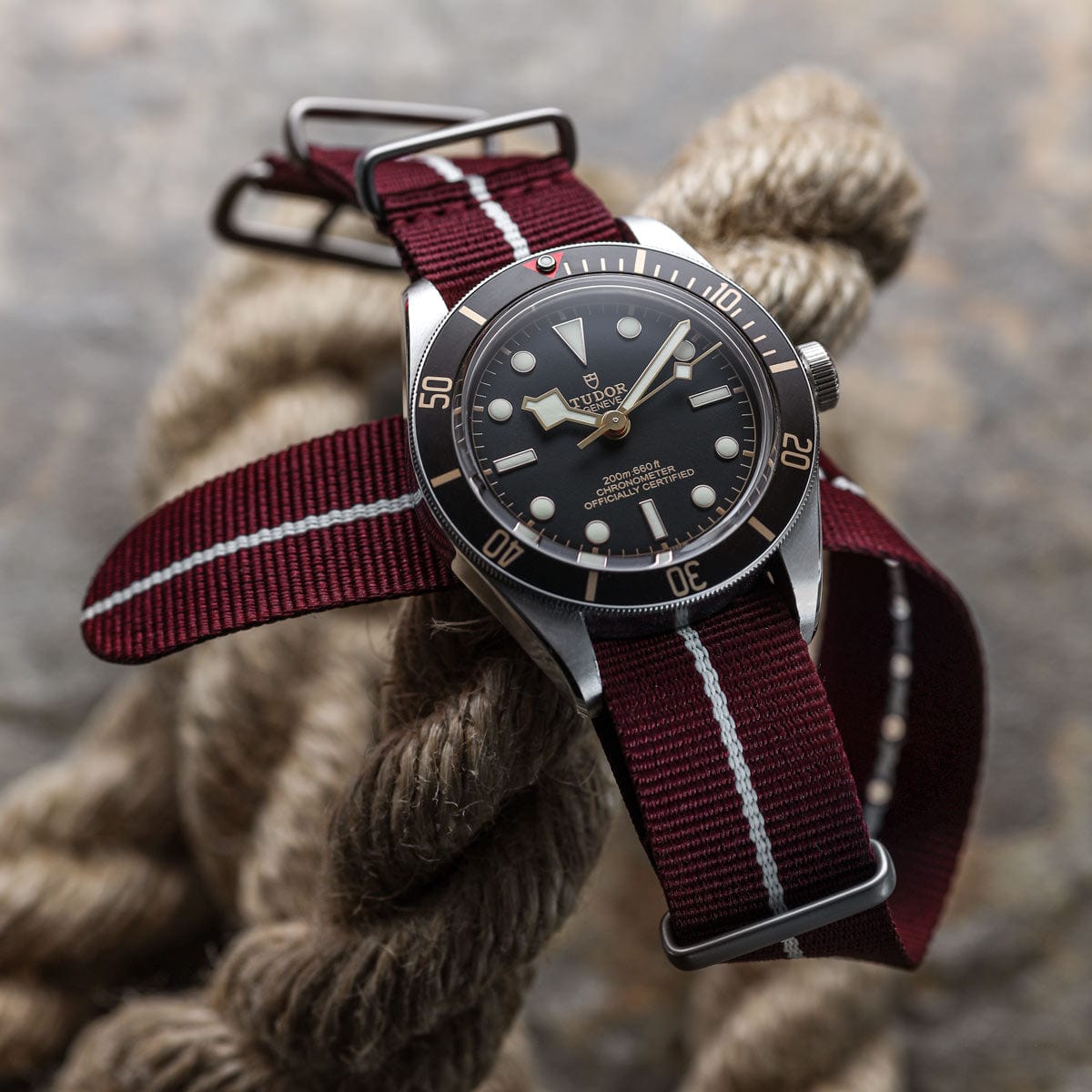 ZULUDIVER 1973 British Military Watch Strap: CADET Marine Nationale - Burgundy & White