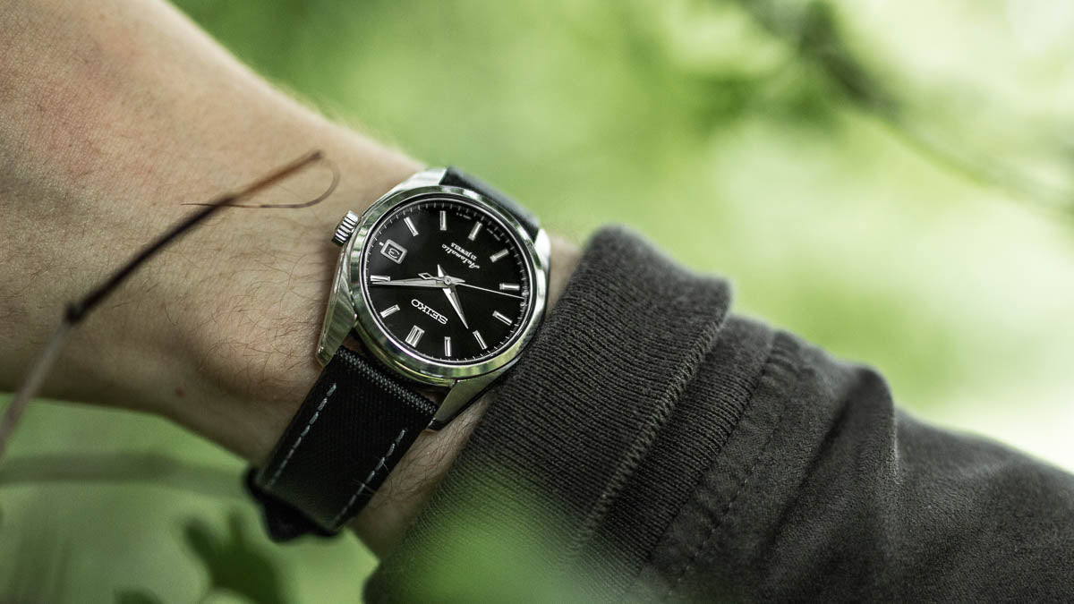 geckota sarb033