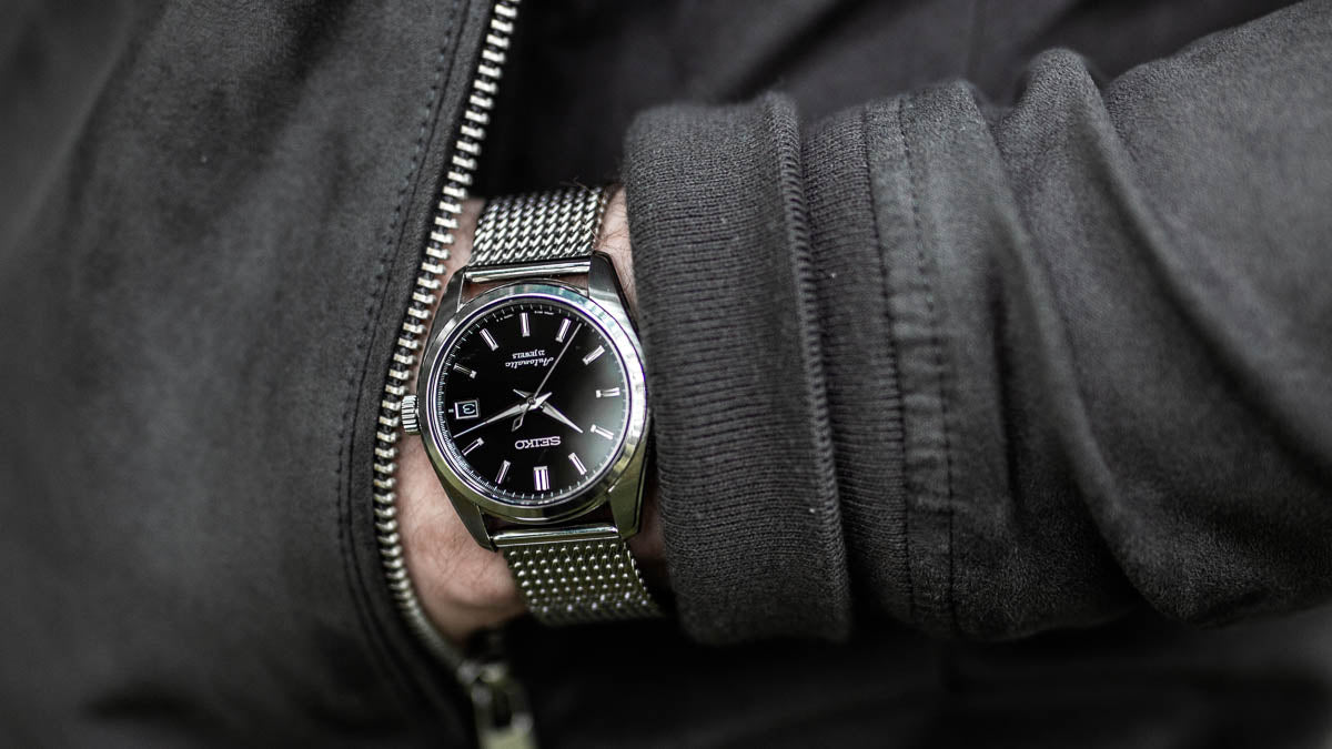 geckota sarb033